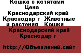 Кошка с котятами › Цена ­ 10 - Краснодарский край, Краснодар г. Животные и растения » Кошки   . Краснодарский край,Краснодар г.